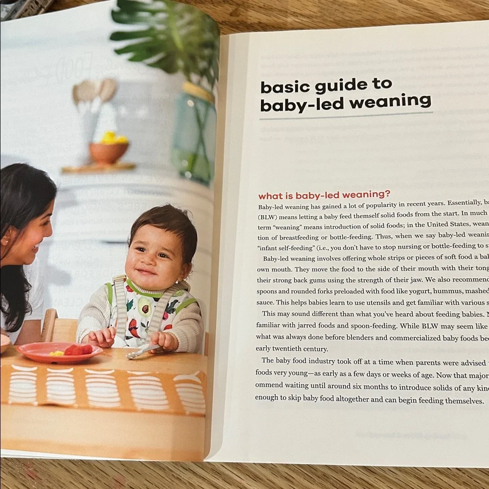 Feeding Littles & Beyond